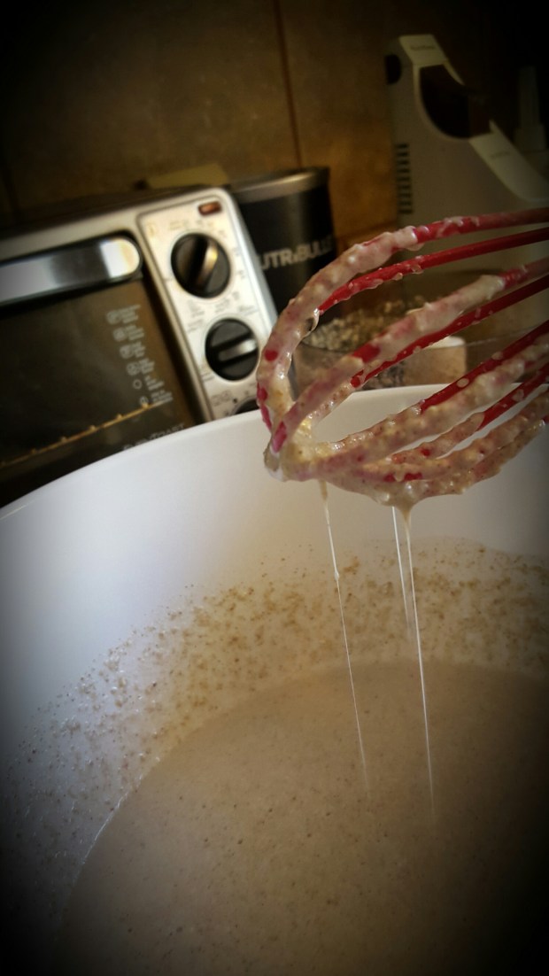 20160515_104607_resized