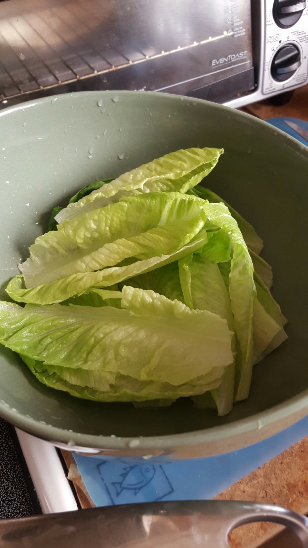 20160530_183908_resized